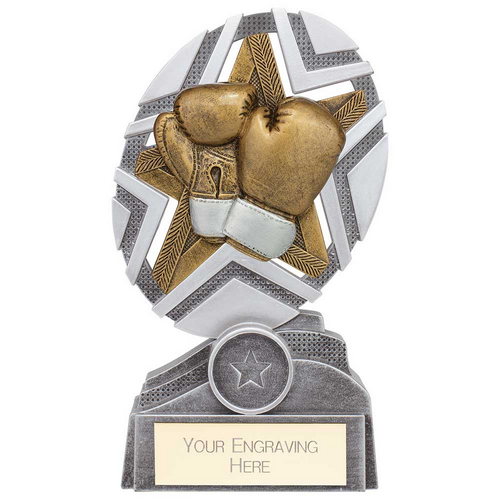 The Stars Boxing Plaque Trophy | Silver & Gold | 170mm | G25