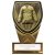 Fusion Cobra Martial Arts Trophy | Black & Gold | 110mm | G9 - PM24201A