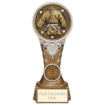 Ikon Tower Martial Arts Trophy | Antique Silver & Gold | 175mm | G24