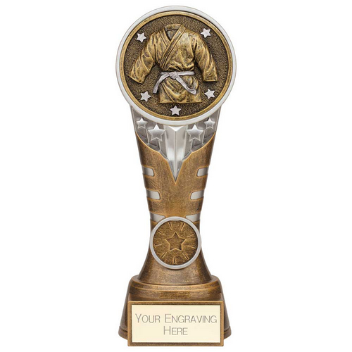 Ikon Tower Martial Arts Trophy | Antique Silver & Gold | 200mm | G24