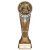 Ikon Tower Martial Arts Trophy | Antique Silver & Gold | 225mm | G24 - PA24232E
