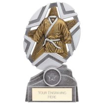 The Stars Martial Arts Plaque Trophy | Silver & Gold | 170mm | G25