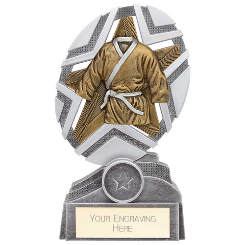 The Stars Martial Arts Plaque Trophy | Silver & Gold | 170mm | G25