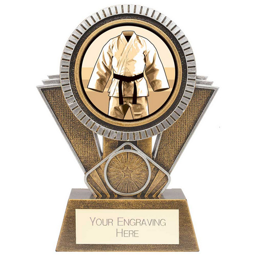 Apex Martial Arts Trophy | Gold & Silver | 155mm | G25