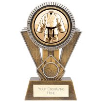 Apex Martial Arts Trophy | Gold & Silver | 180mm | G25