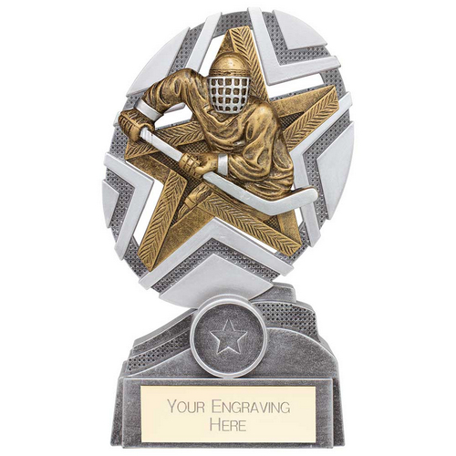 The Stars Ice Hockey Plaque Trophy | Silver & Gold | 170mm | G25