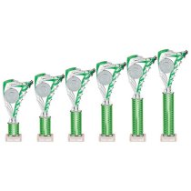 Frenzy Silver & Green Tube Trophy | 240mm | E1408D