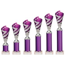 Hurricane Silver & Purple Plastic Tube Cup | Marble Base | 295mm | G9