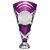 X Factors Silver & Purple Trophy Cup | Heavy Marble Base | 215mm | S7 - TR24523A