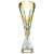 Ranger Premium Silver & Gold Trophy Cup | Marble Base | 310mm | G25 - TR24508C