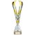 Ranger Premium Silver & Gold Trophy Cup | Marble Base | 310mm | G25 - TR24508C