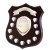 Illustrious Annual Presentation Shield | Rosewood | 11yr Dates | 295mm |  - SH24078C