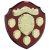 Mountbatten Annual Presentation Shield | Rosewood & Gold | 5yr Dates | 205mm |  - SH24017A