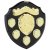 Mountbatten Annual Presentation Shield | Black & Gold | 5yr Dates  | 205mm |  - SH24044A