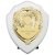 Reward Replica Shield  | Arctic White & Gold | 175mm |  - PS24558D