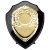 Reward Replica Shield  | Epic Black & Gold | 100mm |  - PS24559A