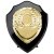 Reward Replica Shield  | Epic Black & Gold | 125mm |  - PS24559B