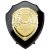 Reward Replica Shield  | Epic Black & Gold | 150mm |  - PS24559C