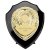 Reward Replica Shield  | Epic Black & Gold | 175mm |  - PS24559D