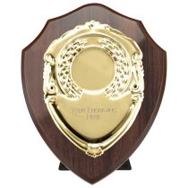 Reward Replica Shield | Cracked Cherry & Gold | 100mm |