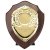 Reward Replica Shield | Cracked Cherry & Gold  | 100mm |  - PS24561A