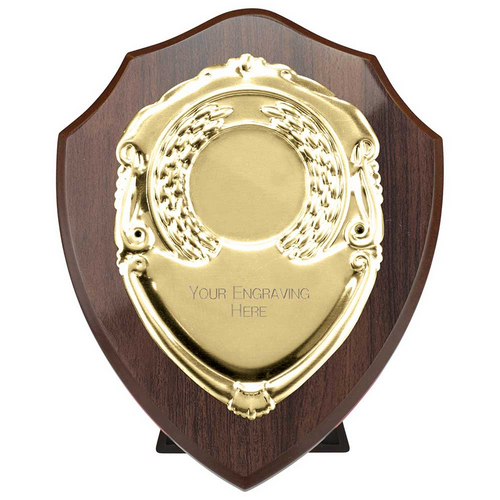 Reward Replica Shield | Cracked Cherry & Gold | 100mm |