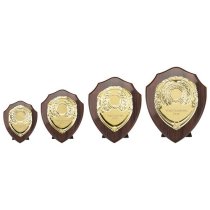 Reward Replica Shield | Cracked Cherry & Gold | 100mm |