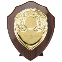 Reward Replica Shield | Cracked Cherry & Gold | 125mm |