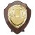 Reward Replica Shield | Cracked Cherry & Gold  | 125mm |  - PS24561B