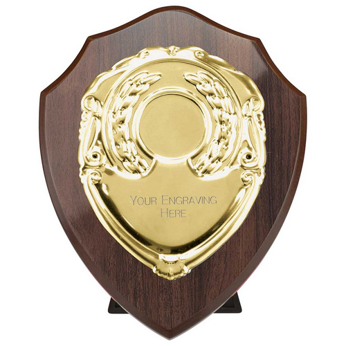 Reward Replica Shield | Cracked Cherry & Gold | 125mm |