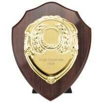 Reward Replica Shield | Cracked Cherry & Gold | 150mm |
