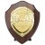 Reward Replica Shield | Cracked Cherry & Gold  | 150mm |  - PS24561C