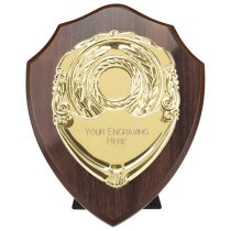 Reward Replica Shield | Cracked Cherry & Gold | 175mm |