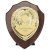 Reward Replica Shield | Cracked Cherry & Gold  | 175mm |  - PS24561D
