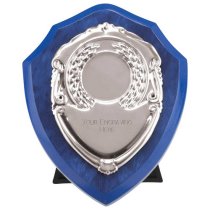 Reward Replioca Shield | Azure Blue & Silver | 100mm |