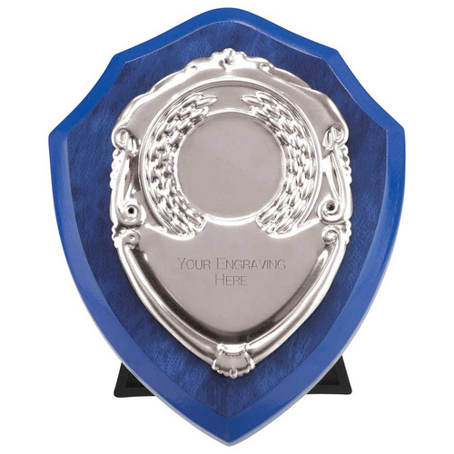 Reward Replioca Shield | Azure Blue & Silver | 100mm |