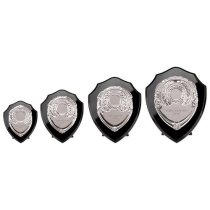 Reward Replica Shield |Epic Black & Silver | 100mm |