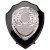 Reward Replica Shield |Epic Black & Silver | 125mm |  - PS24565B