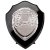 Reward Replica Shield |Epic Black & Silver | 150mm |  - PS24565C