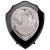 Reward Replica Shield |Epic Black & Silver | 175mm |  - PS24565D