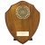 Reward Wreath Shield | Walnut | 175mm |  - PL24566D