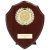 Reward Wreath Shield | Cracked Cherry | 125mm |  - PL24567B