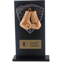 Jet Glass Shield Boxing Trophy | 160mm | G25