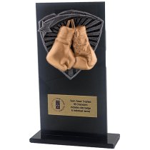 Jet Glass Shield Boxing Trophy | 160mm | G25
