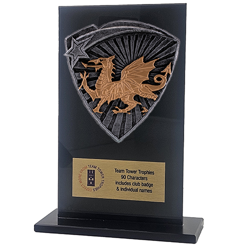 Jet Glass Shield Welsh Trophy | 140mm | G25