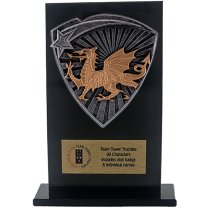 Jet Glass Shield Welsh Trophy | 140mm | G25