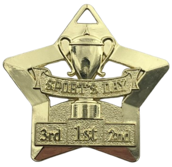Mini Star Sports Day Medal & Ribbon | 60mm | Gold