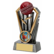 Red Ball Cricket Trophy | 125mm