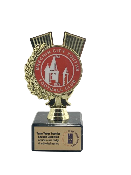 Football Squad Trophy | Gold | Features your Club Badge & Players Name |125mm