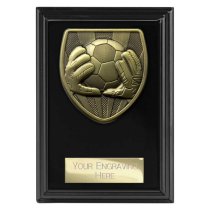 Cobra Plaque Football Goalkeeper Trophy | 125mm | Black